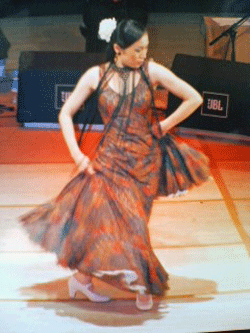 gallery18-1.gif