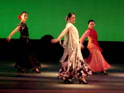 gallery2-1.gif