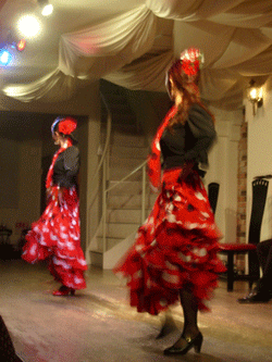 gallery24-1.gif