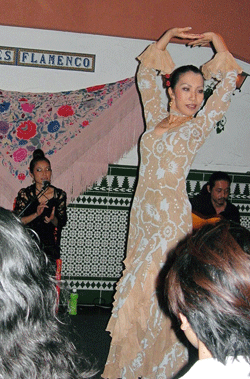 gallery26-1.gif