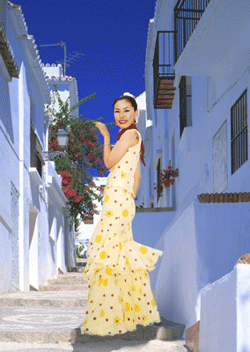 gallery3-1.gif